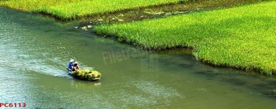 File gốc File tranh phong cảnh việt nam PC6113 (phong cách) tối giản