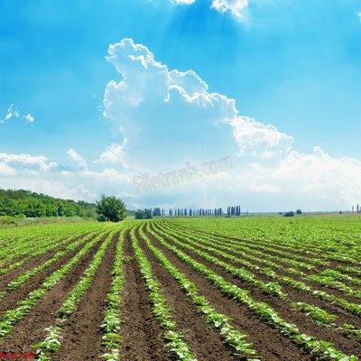 File tranh File tranh phong cảnh việt nam PC6128 (ảnh gốc) in trần nhà