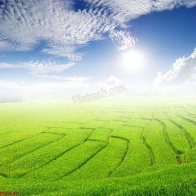 File tranh File tranh phong cảnh việt nam PC6147 (ảnh gốc) in trần 3D