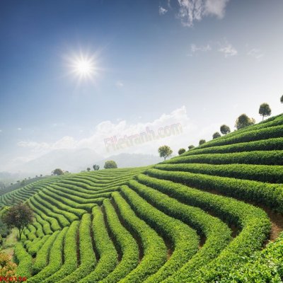 Download file gốc File tranh phong cảnh việt nam PC6156 (in lụa) cao cấp