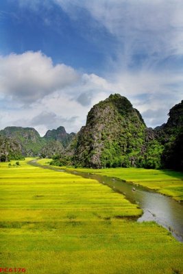 Tải file gốc File tranh phong cảnh việt nam PC6176 (in khổ lớn) không vỡ