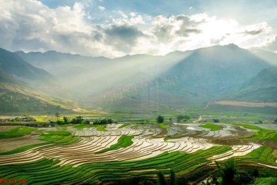 File gốc File tranh phong cảnh việt nam PC6218 cho in ấn và thiết kế