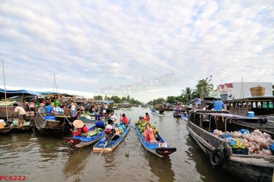 File ảnh File tranh phong cảnh việt nam PC6222 (gốc) in Hiflex