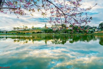 Download file gốc File tranh phong cảnh việt nam PC6225 (độ nét cao)