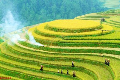 File tranh in trần 3D File tranh phong cảnh việt nam PC6227 (ảnh gốc)