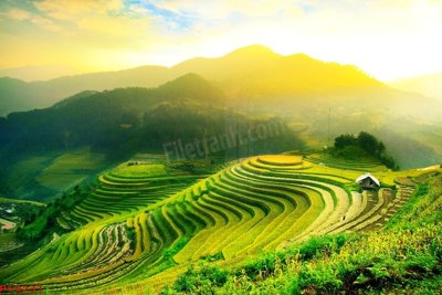 Tệp tin gốc File tranh phong cảnh việt nam PC6231 (chất lượng) File tranh phong cảnh việt nam PC6231