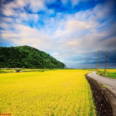 File tranh File tranh phong cảnh việt nam PC6246 (gốc) chủ đề trừu tượng