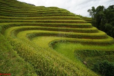 File in ấn File tranh phong cảnh việt nam PC6260 (bản gốc) sắc nét