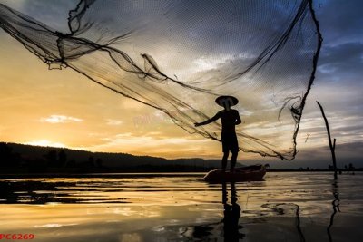 Tải file File tranh phong cảnh việt nam PC6269 (gốc) làm file thiết kế