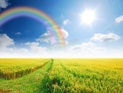 File tranh File tranh phong cảnh việt nam PC6301 (gốc) in vải canvas