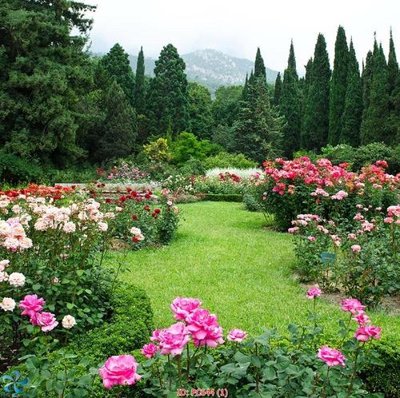 File gốc File gốc phong cảnh PC644 (ảnh chi tiết) để in ấn