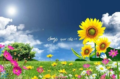 Tải về hình ảnh gốc File gốc phong cảnh PC654 sắc nét