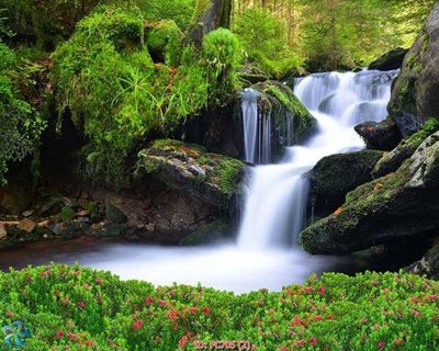 Hình ảnh file gốc in lụa File gốc phong cảnh PC705