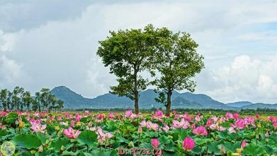 File tranh trang trí File gốc phong cảnh PC732 (tải file gốc)