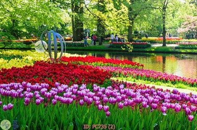 Download file File gốc phong cảnh PC735 (chất lượng in ấn)