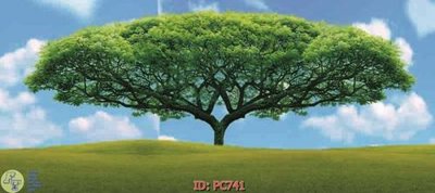 Download file tranh File gốc phong cảnh PC741 (file gốc PSD)