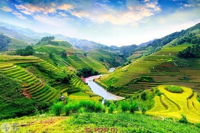 Tải file File gốc phong cảnh PC767 (gốc) in nhanh