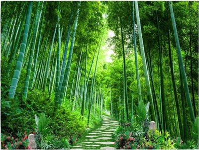 Tải file tranh File gốc phong cảnh PC786 (gốc) tại Filetranh.com