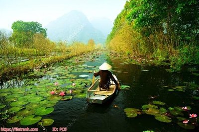 File tranh quảng cáo File gốc phong cảnh PC8 (file gốc) chuyên nghiệp