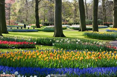 File gốc File gốc phong cảnh PC814 (in 3D) nghệ thuật