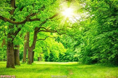 Tải file File gốc phong cảnh PC819 (gốc) chủ đề phong thủy