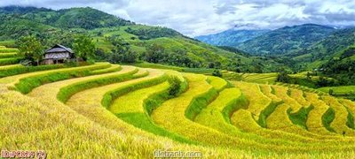 Download file File gốc phong cảnh PC824 (gốc) cho xưởng in