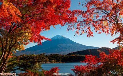 File in ấn File gốc phong cảnh PC840 (bản gốc) chất lượng cao