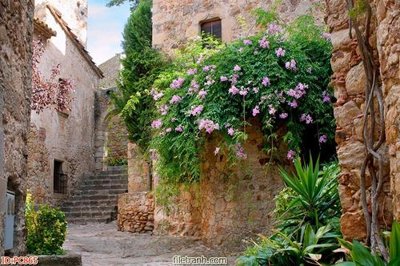 File in ấn File gốc phong cảnh PC865 (bản gốc) từ file gốc