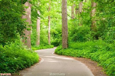 File gốc File gốc phong cảnh PC870 (ảnh chi tiết) để in ấn