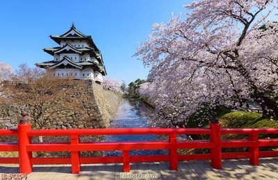 Tệp tin gốc File gốc phong cảnh PC874 (dùng cho in) File gốc phong cảnh PC874