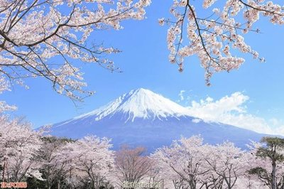 Tải file File gốc phong cảnh PC888 (PSD) cho in tranh 3D