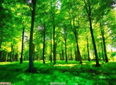 Download file File gốc phong cảnh PC911 (gốc) in mica bàn thờ