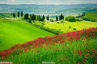 File gốc File gốc phong cảnh PC916 (PSD/TIFF) độ phân giải cao