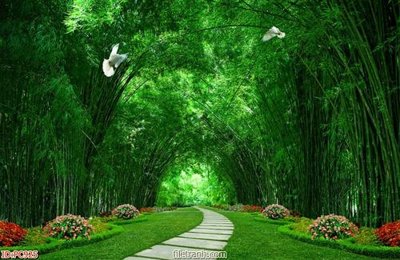 File PSD File gốc phong cảnh PC925 (chất lượng in ấn)