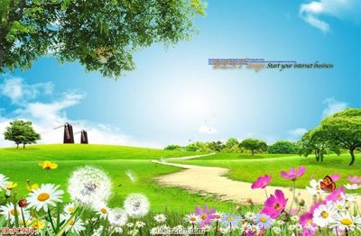 Hình ảnh file gốc in trần nhà File gốc phong cảnh PC934