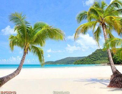 File gốc File gốc phong cảnh PC939 (PNG) không nền chất lượng