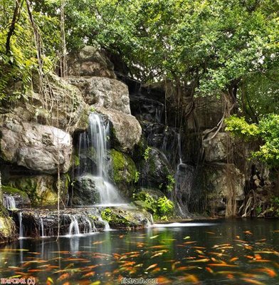 Download file gốc File gốc phong cảnh PC941 (in lụa) nghệ thuật