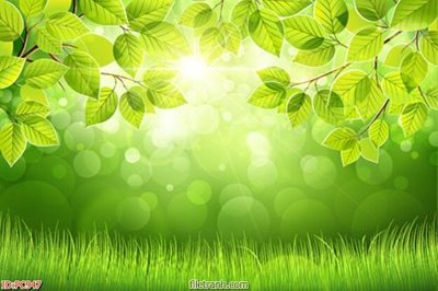 Tải file gốc File gốc phong cảnh PC947 (in khổ lớn) quảng cáo