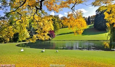 File tranh gốc File gốc phong cảnh PC958 (bản quyền) độc đáo