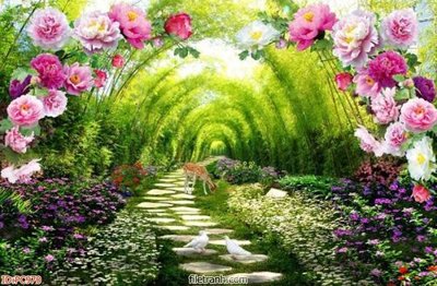 Download file ảnh gốc File gốc phong cảnh PC970 để in ấn