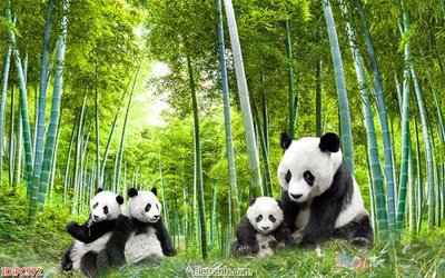 File gốc File gốc phong cảnh PC972 (in 3D) cho trang trí