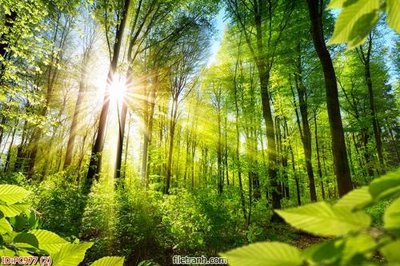 Tải về file tranh gốc File gốc phong cảnh PC977 (để in quảng cáo)