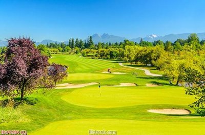 Download file File gốc phong cảnh PC994 (chất lượng in ấn)