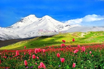 File in ấn File tranh phong cảnh thiên nhiên PCN1000 (bản gốc) cao cấp