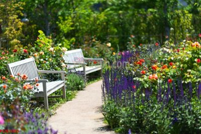 File tranh File tranh phong cảnh thiên nhiên PCN1003 (gốc) chủ đề thiên nhiên