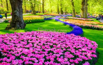 File gốc File tranh phong cảnh thiên nhiên PCN1011 (PNG) trong suốt (transparent)