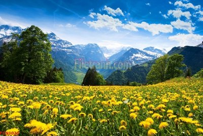 File PSD File tranh phong cảnh thiên nhiên PCN1028 (gốc) nhiều lớp (multi-layer)