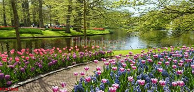 File tranh ảnh gốc File tranh phong cảnh thiên nhiên PCN1034 dùng cho in khổ lớn