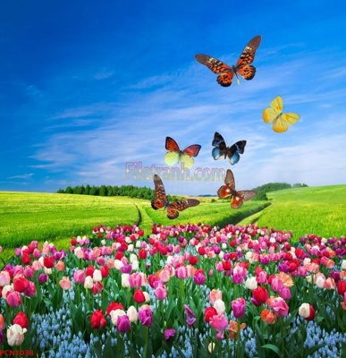 File ảnh File tranh phong cảnh thiên nhiên PCN1038 (gốc) in decal dán tường