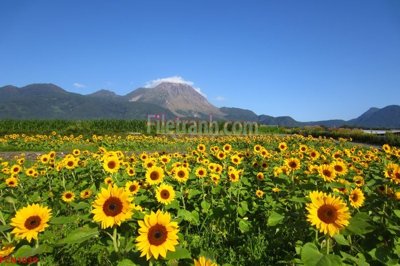 File in trần File tranh phong cảnh thiên nhiên PCN1039 (file gốc) hoa văn 3D